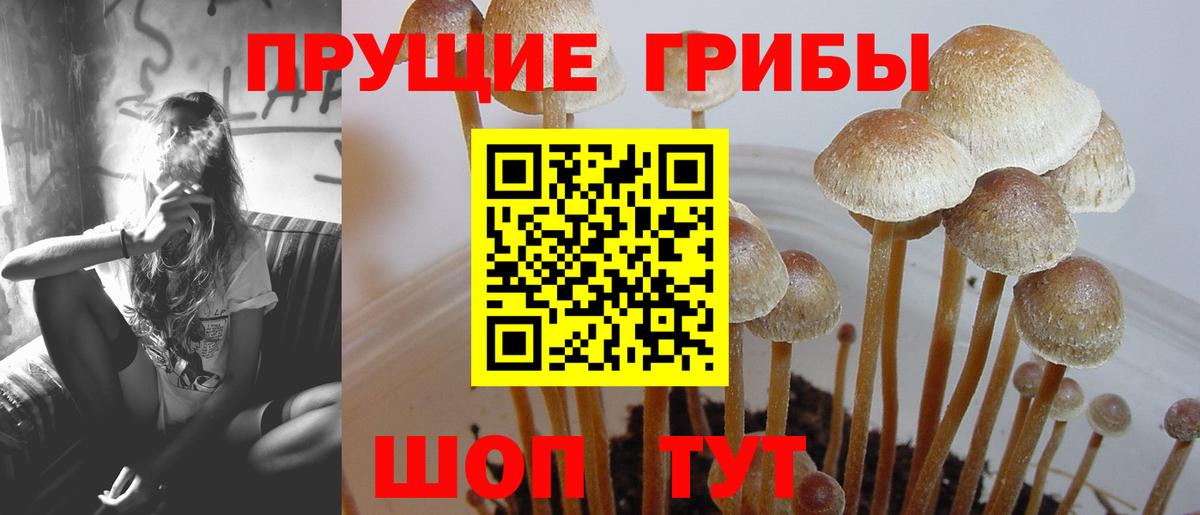 Галлюциногенные грибы мухоморы  Вход с VPN  Губкин 